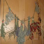 herbs drying gfzing.com