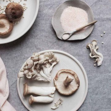 Cravings WordPress Theme for Food Bloggers